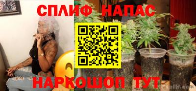 дживик Кимры