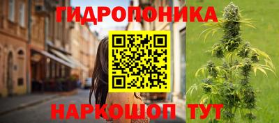 герыч Кингисепп